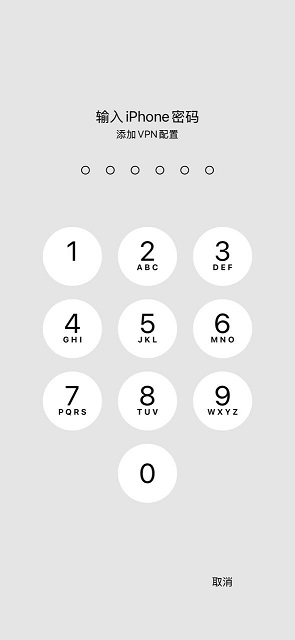 输入 iPhone 密码